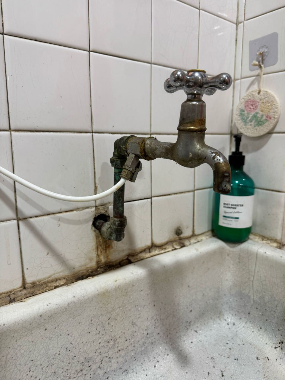Professional Plumbing Service in Singapore: Reliable Solutions for Your Home & Business